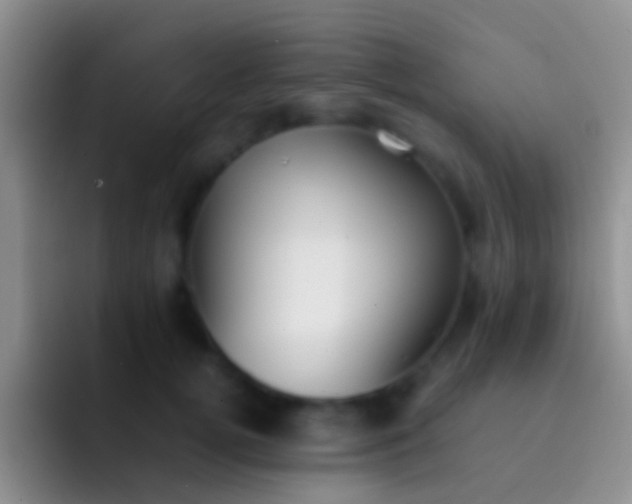 X0000092100752200709262141