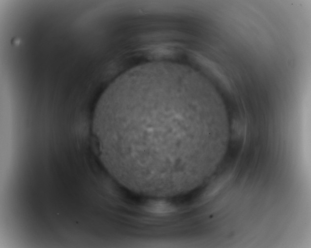 X0000092100753200709262141