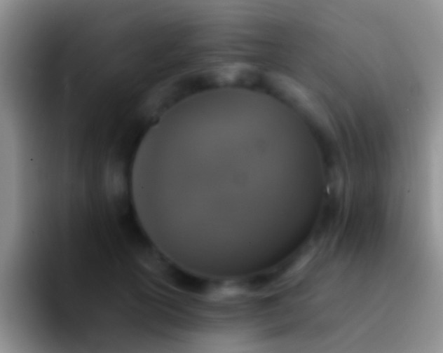 X0000092100754200709262141