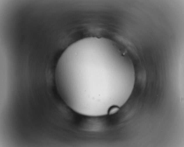 X0000092100759200709262141