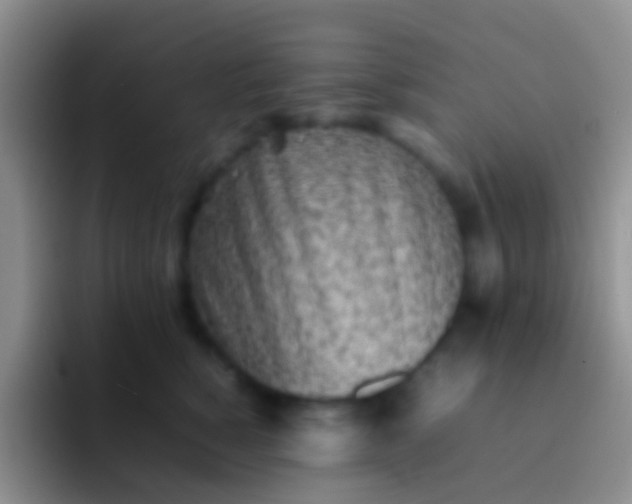 X0000092100760200709262141