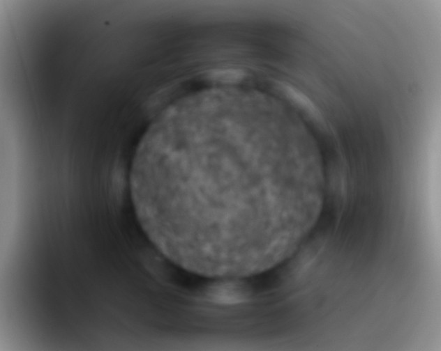 X0000092100761200709262141