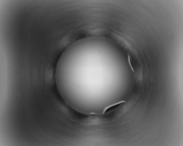 X0000092100764200709262141