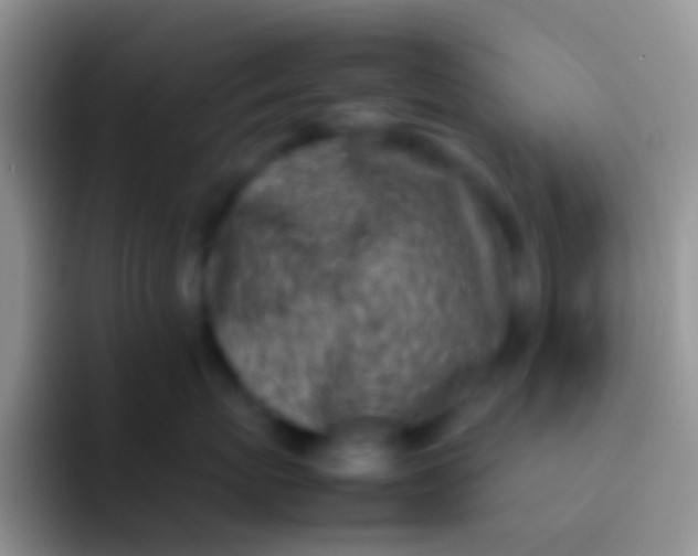 X0000092100767200709262141