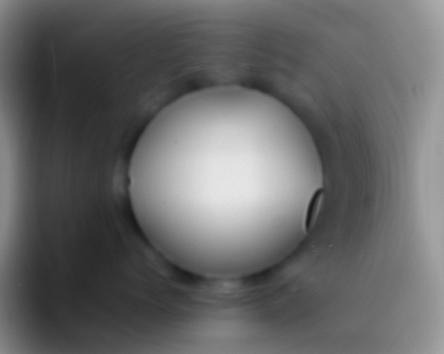 X0000092100768200709262141