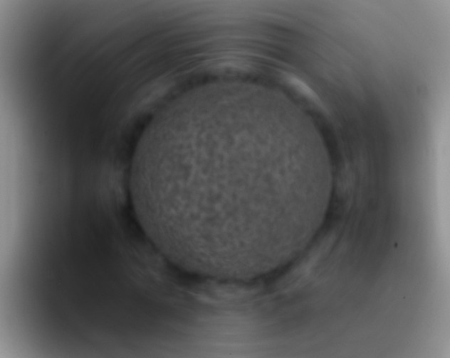 X0000092100774200709262140