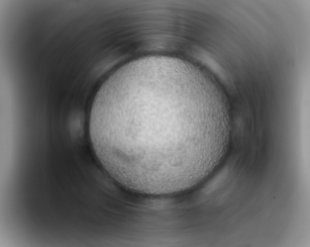 X0000092100778200709262140