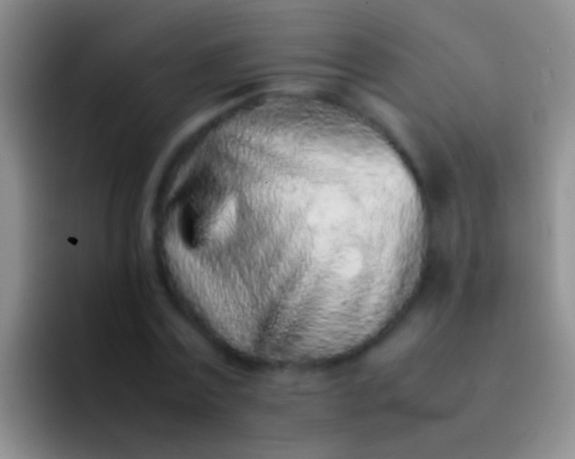 X0000092100779200709262140