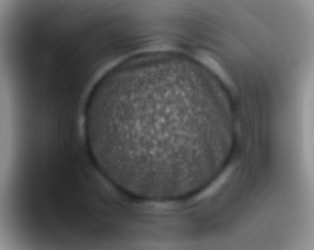 X0000092100781200709262140