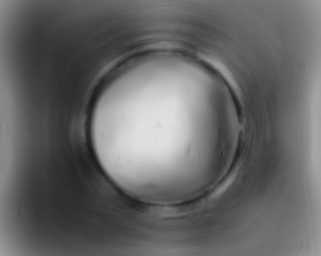 X0000092100783200709262140