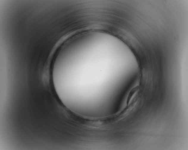 X0000092100784200709262140