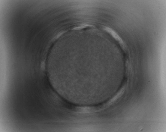 X0000092100785200709262140