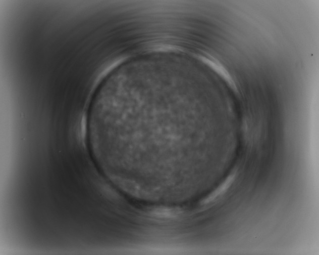 X0000092100790200709262140