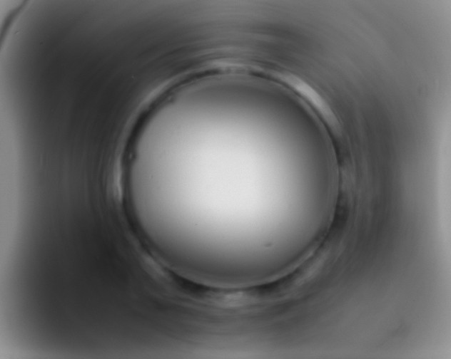 X0000092100791200709262140