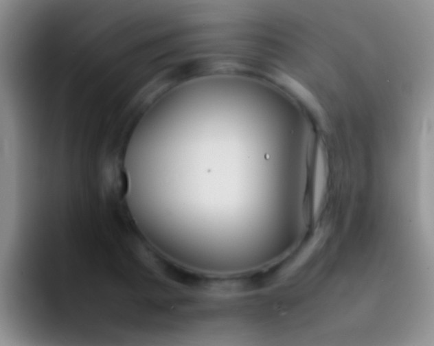 X0000092100793200709262140