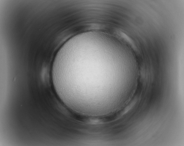 X0000092100794200709262140