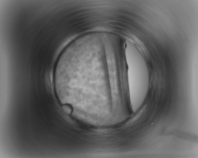 X0000092100796200709262140