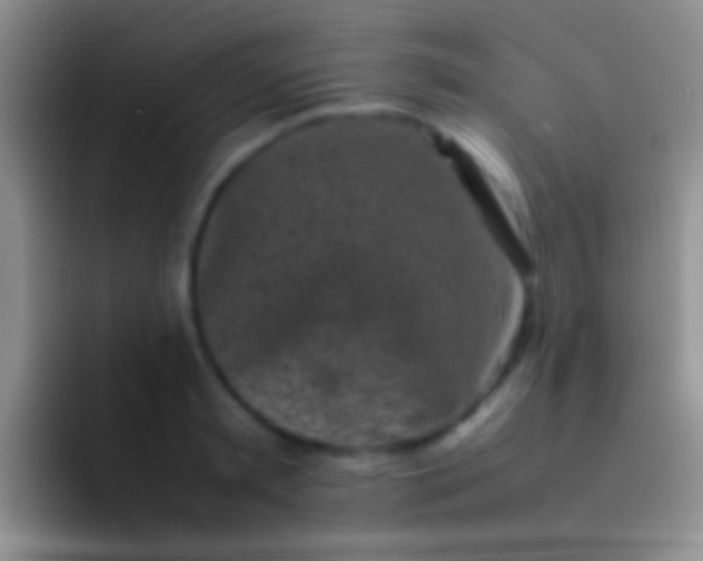 X0000092100797200709262140