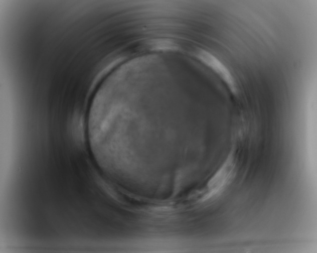 X0000092100798200709262140