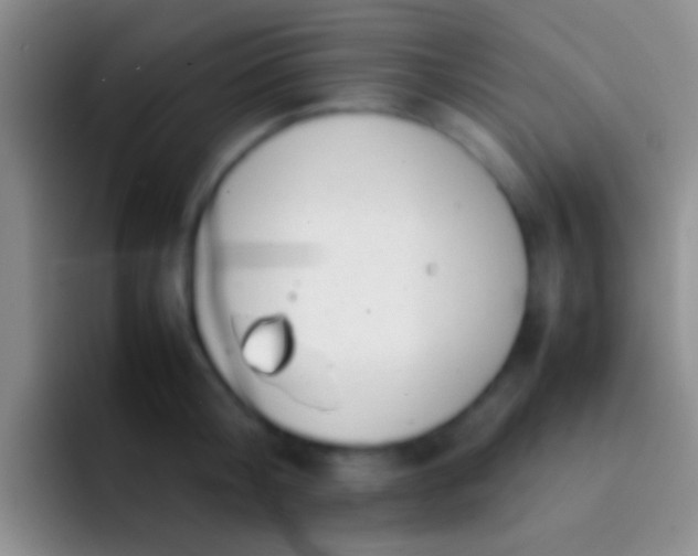 X0000092100804200709262140