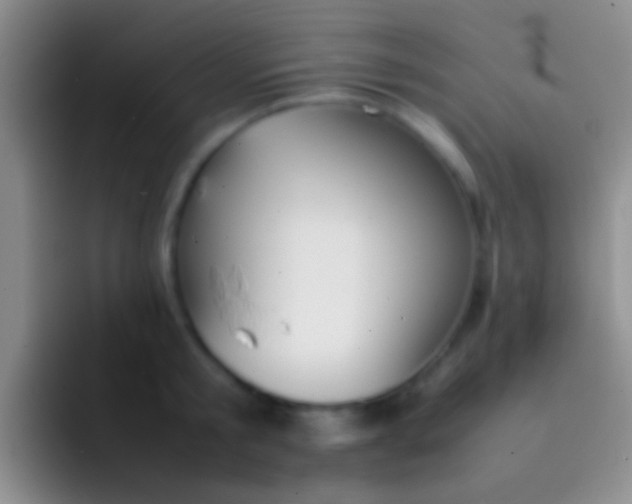 X0000092100805200709262140