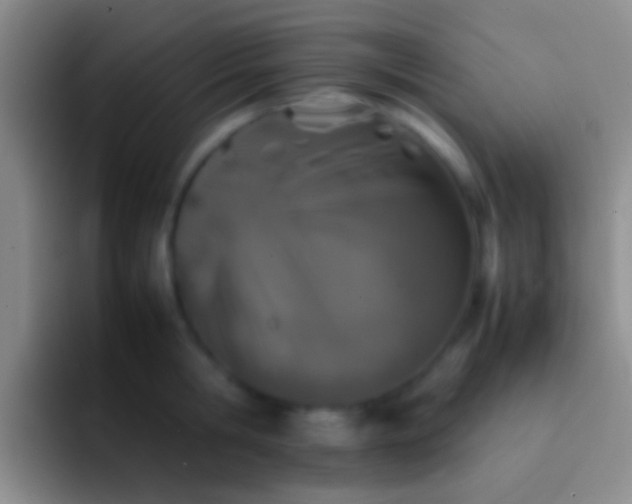 X0000092100806200709262140