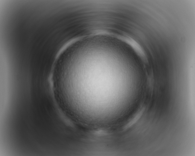 X0000092100814200709262140