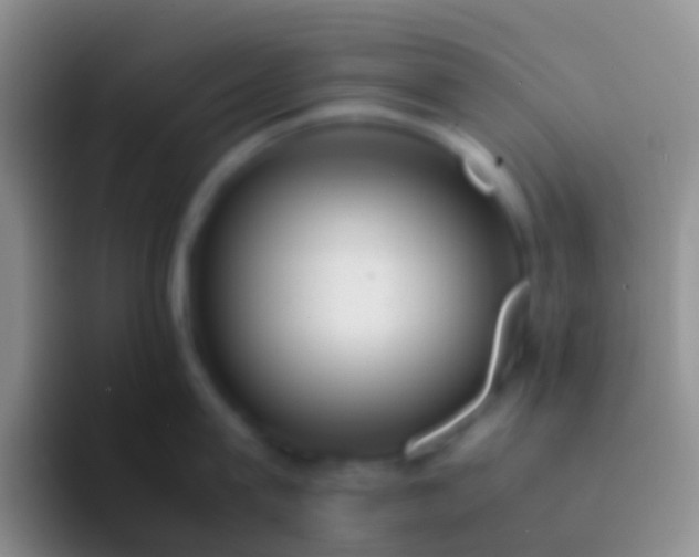 X0000092100815200709262140