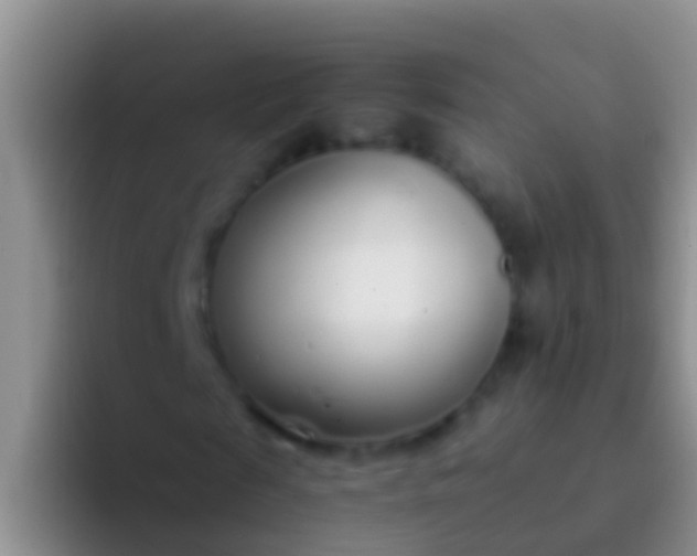 X0000092100817200709262139