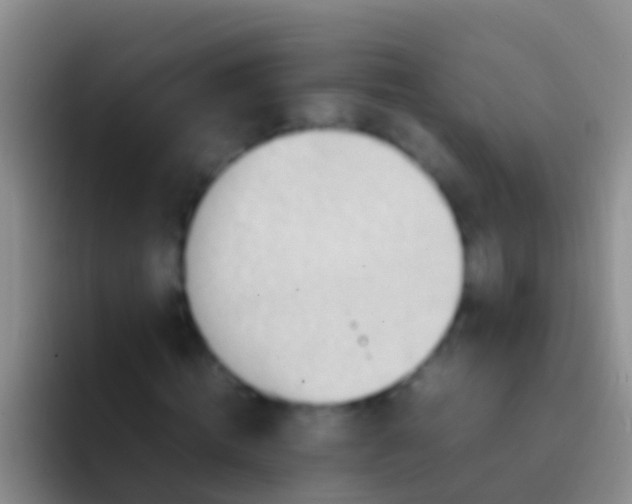 X0000092100820200709262139