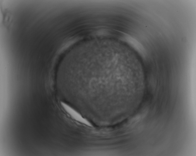 X0000092100823200709262139