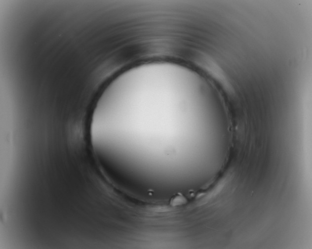 X0000092100826200709262139