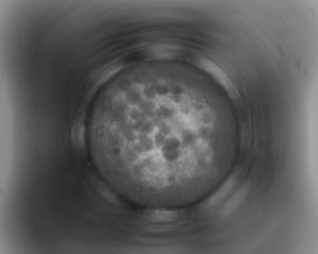 X0000092100827200709262139