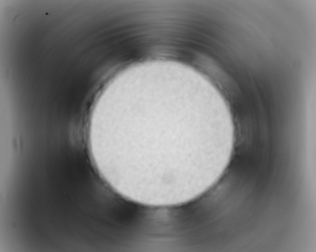 X0000092100828200709262139