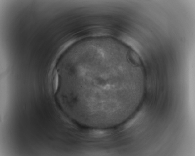 X0000092100829200709262139