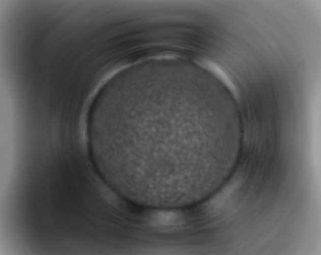 X0000092100835200709262140