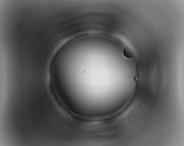 X0000092100837200709262140