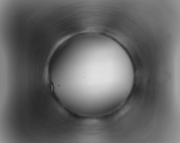 X0000092100838200709262140