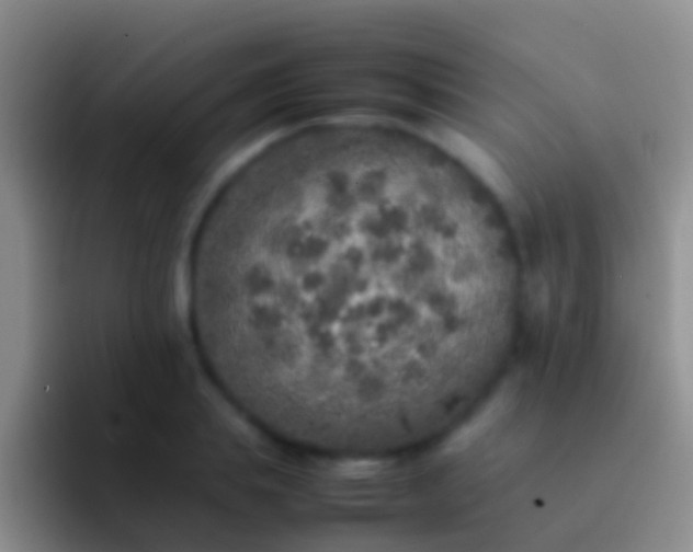 X0000092100839200709262140