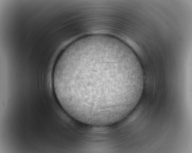 X0000092100840200709262140