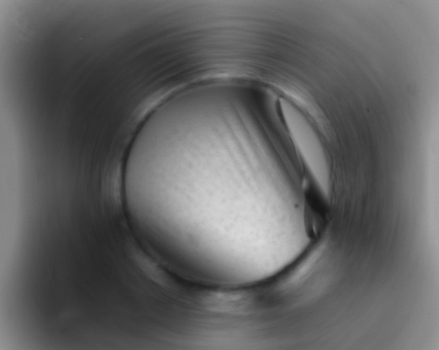 X0000092100842200709262140