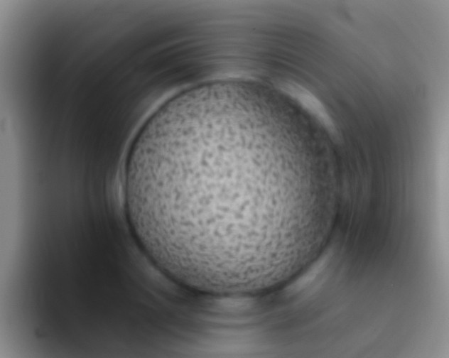 X0000092100844200709262140