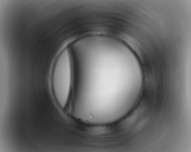 X0000092100845200709262140