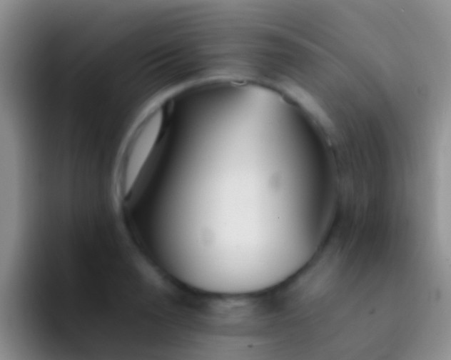 X0000092100846200709262140