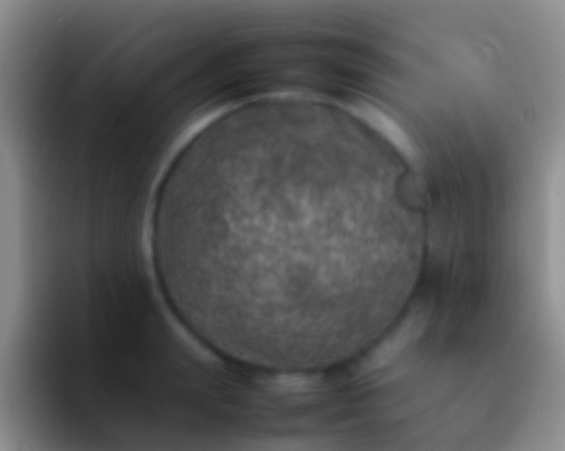 X0000092100847200709262140