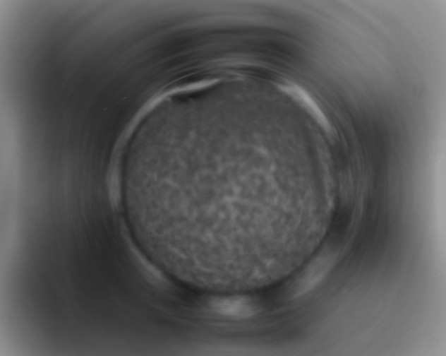 X0000092100851200709262140