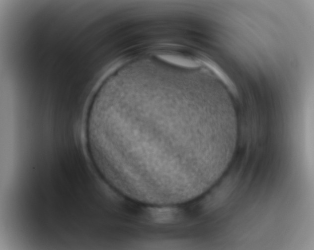 X0000092100853200709262140