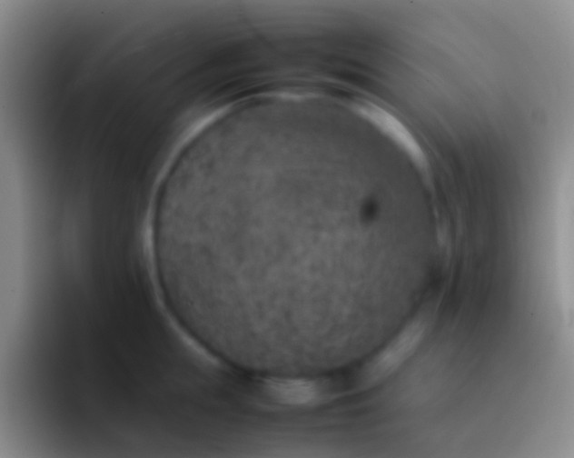 X0000092100855200709262140