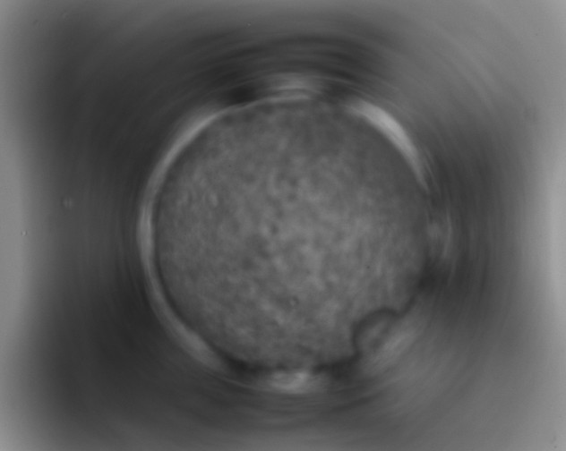 X0000092100859200709262140