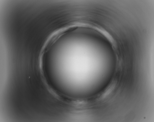 X0000092100862200709262140